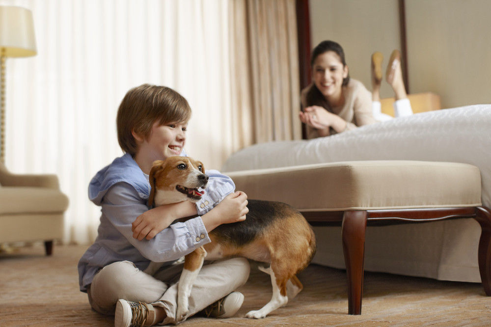 Sheraton Mckinney Bagian luar foto